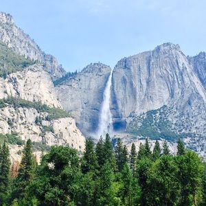 Meet your Posher, Penny